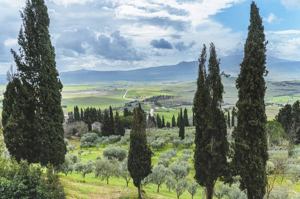 Paseo Día Lluvioso Por Las Calles Hermosa Ciudad Pienza Toscana —  Fotos de Stock