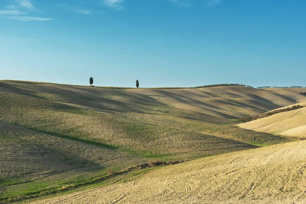 Bäume Auf Den Gipfeln Der Hügel Bei Herbstwetter — Stockfoto