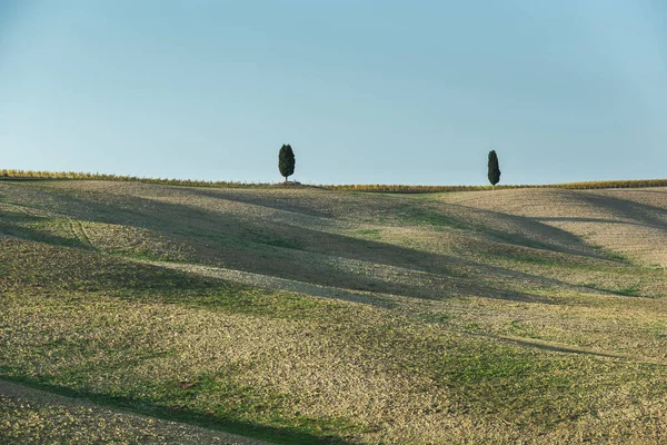 Bäume Auf Den Gipfeln Der Hügel Bei Herbstwetter — Stockfoto