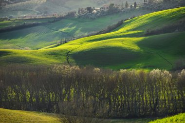Sarı güneş ışığıyla gün batımında ilkbahar manzarası