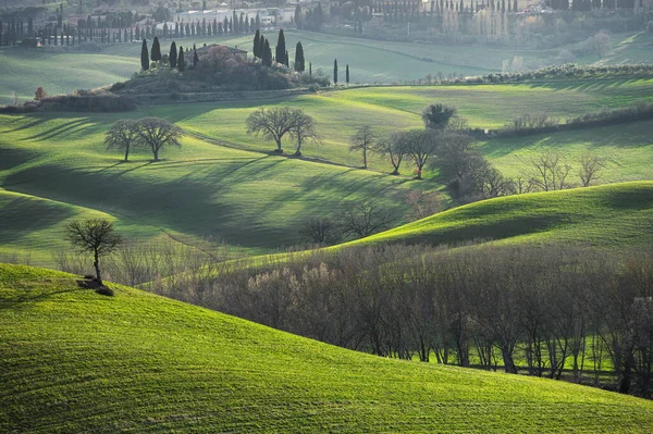 Paisaje Primavera Atardecer Con Luz Amarilla —  Fotos de Stock