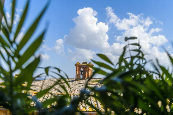 植物と窓から見える雲と青い空 — ストック写真