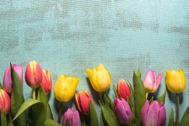 Paskalya ve bahar arkaplanı laleler ve yumurtalar.