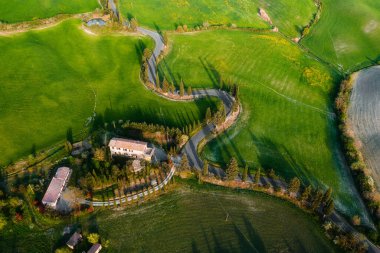Gün batımında çiçek açan tarlaların üzerinde bahar uçuyor.