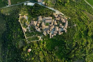 Gün batımında çiçek açan tarlaların üzerinde bahar uçuyor.