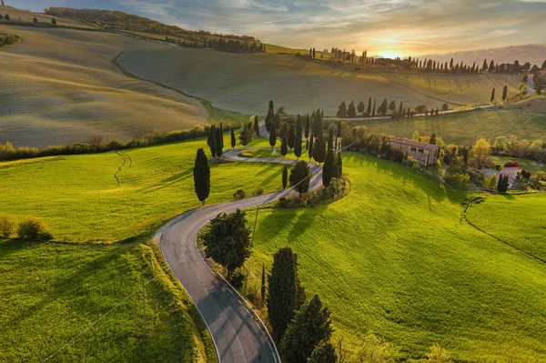 Spring Flying Landscape Sunset Blooming Fields — Stock Photo, Image