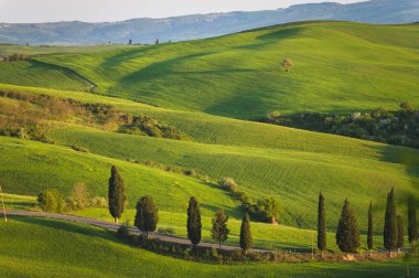 Baharda güzel bir atmosfer güneşli bir günde