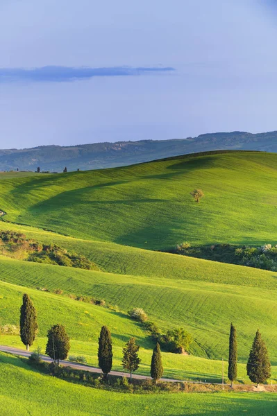 Beautiful Atmosphere Spring Sunny Day — Stock Photo, Image