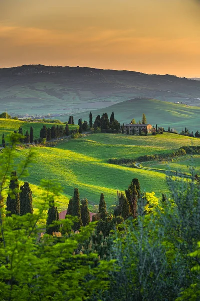 Bella Atmosfera Nella Giornata Sole Primaverile — Foto Stock