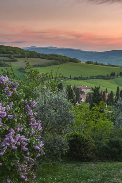 Hermosa Atmósfera Día Soleado Primavera Imagen De Stock