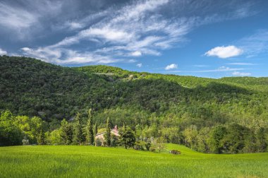 Güneşli bir bahar gününde yeşil manzara