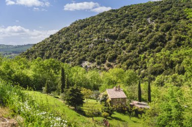 Güneşli bir bahar gününde yeşil manzara