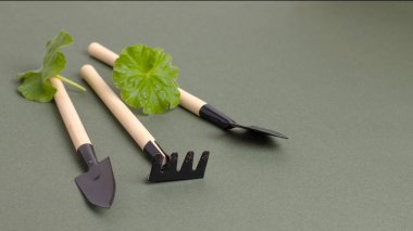 Küçük bahçe aletleri, kopyalama alanı, yeşil yaprak