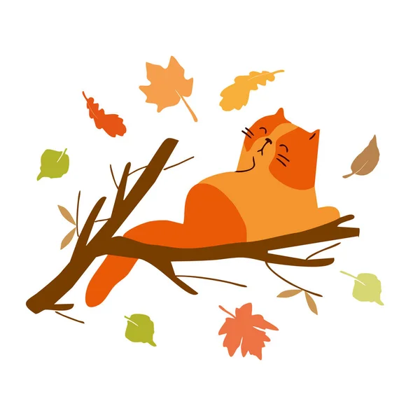 Cartoon cat sleeping on a branch. Autumn foliage. Sticker. — Stock Vector