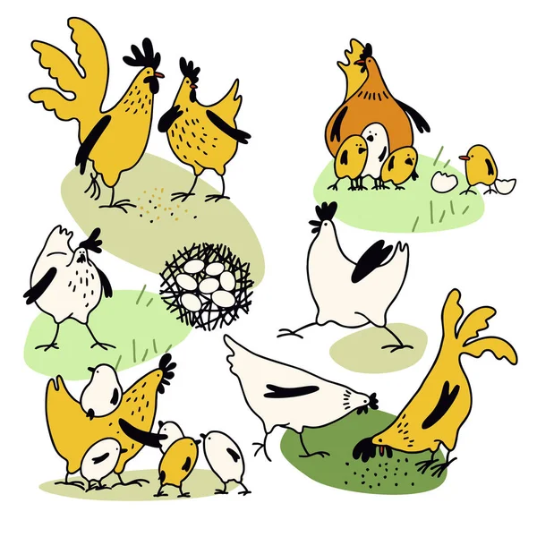 Курка, півень і маленькі кури на траві. Набір елементів для Великодня. Милий дизайн сім'ї курчат. Плоский стиль, мультиплікаційний стиль. Векторні ілюстрації — стоковий вектор