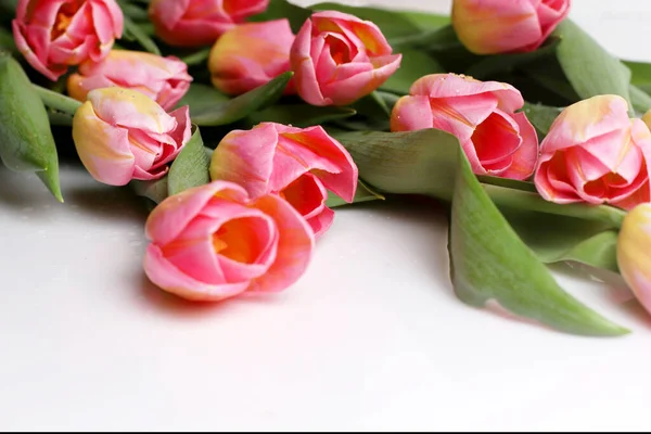 Kleurrijk Boeket Van Roze Tulpen Een Witte Achtergrond Feestdag Moederdag — Stockfoto