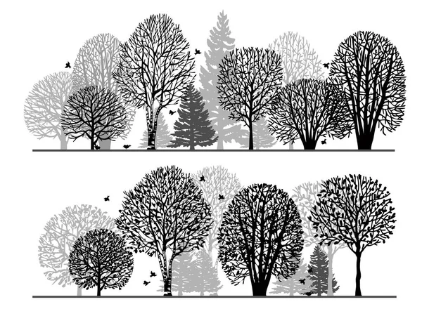 白色背景上的树的黑色轮廓 冬天的森林 夏天的森林不同树的一组轮廓 — 图库矢量图片
