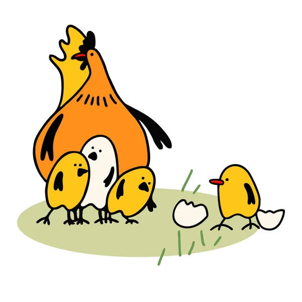 Tavuk ve tavuklar düz vektör çizimi. Paskalya. Tavuk eti üretimi, kümes hayvanları. Komik sarı tavuklar.