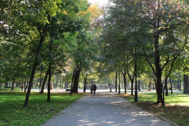 Güzel Park sokağı. Büyük ağaçlar, yürüyen insanlar ve rahatlatıcı bir atmosfer. Romanescu Park güneşli bir günde, Craiova City, Romanya