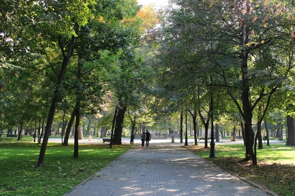 Güzel Park Sokağı Büyük Ağaçlar Yürüyen Insanlar Rahatlatıcı Bir Atmosfer — Stok fotoğraf