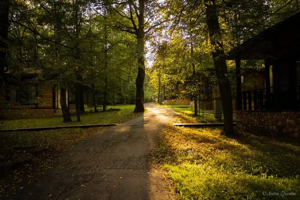 Yaz günbatımı parkta