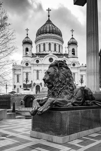 Moskova 'daki Kurtarıcı İsa Katedrali' nin arka planında bir aslan heykeli. Sokak fotoğrafı.