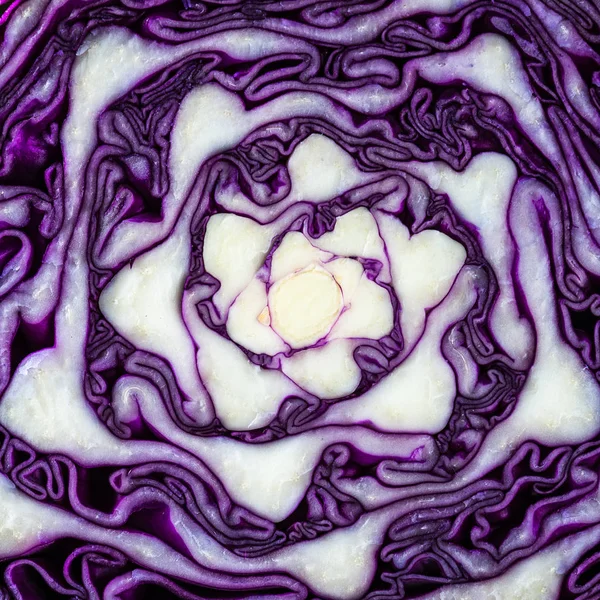 Red Cabbage Cut Half Background — Stock Photo, Image