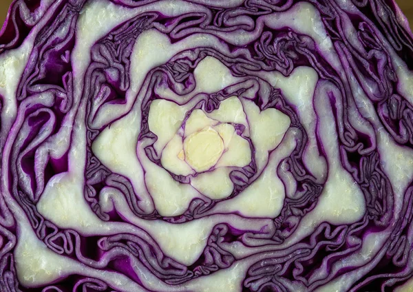 Red cabbage cut in half as a background3