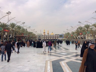 Close up of Kalanchoe or Widows thrill red Flower Kalanchoe or kal un KOH ee or kal un kee also written Kalanche or Kalancho