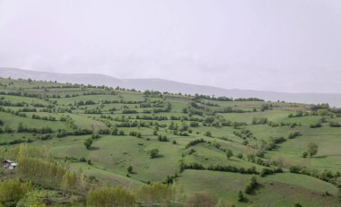 Iran 'ın kuzeyinde ağaçlarla benzersiz ovaları peyzaj, Gilan