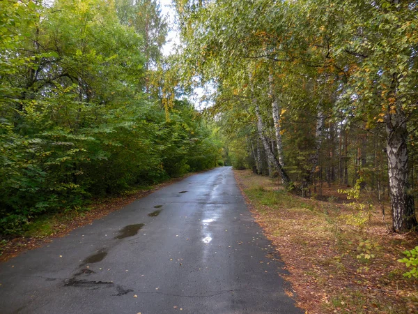 Chelyabinsk Rússia 2019 Estrada Asfalto Parque Natural Yuri Gagarin Outono — Fotografia de Stock