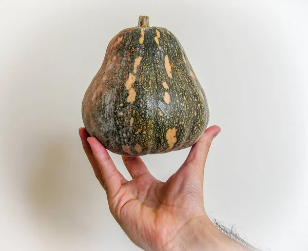 Una Calabaza Mano Con Fondo Blanco —  Fotos de Stock