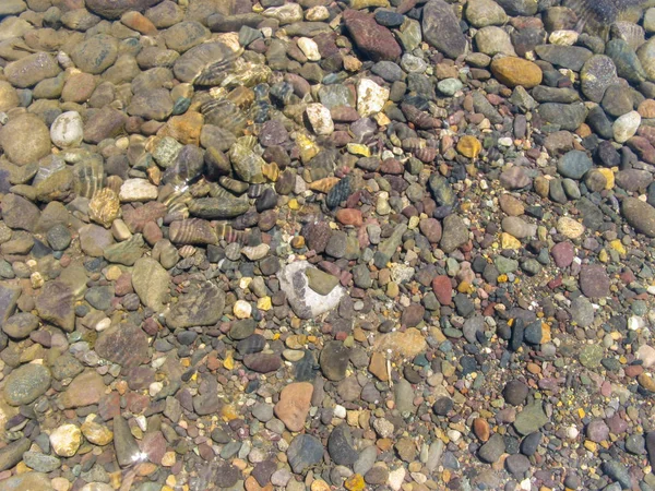 Agua Clara Del Río Bajo Luz Del Sol Piedras Del — Foto de Stock