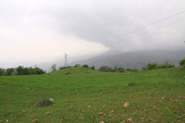 Пейзаж Красивой Равнины Возле Гор Альборз Иране Гила — стоковое фото