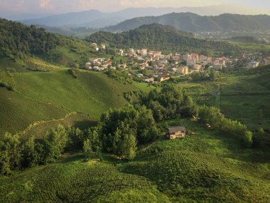 A beautiful city in north of Iran, Gilan, lahijan