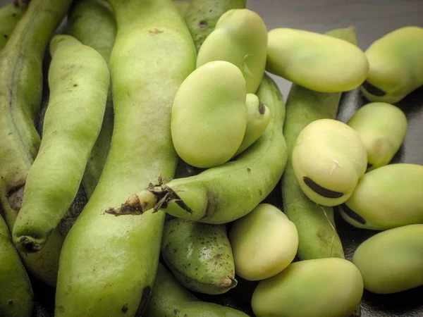 Gros Plan Graines Fèves Fraîches Vicia Faba Fèves Fraîches Cueillies — Photo