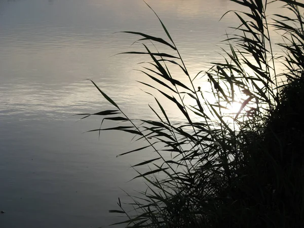 Ráno Svítí Slunce Jezerní Vodě Ráno Jezera — Stock fotografie
