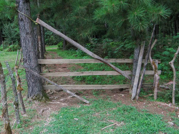 The entrance wooden gate on a forest road. Entrance Gate to Pine Forest. Entrance gate to a rustic.