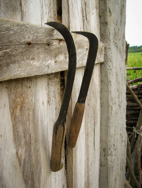 Deux Faucilles Sur Fond Bois Après Utilisation Pour Récolte Des — Photo