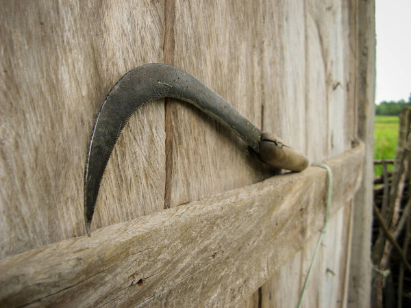  Серп на деревянном фоне после использования для уборки зерновых. Крупный план. Горизонтальный вид. локальный инструмент Ирана. Традиционный ручной сельскохозяйственный инструмент
.