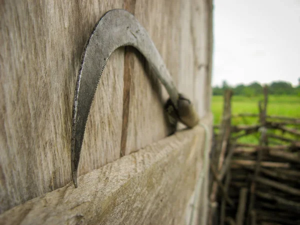 Une Faucille Sur Fond Bois Après Utilisation Pour Récolte Des — Photo