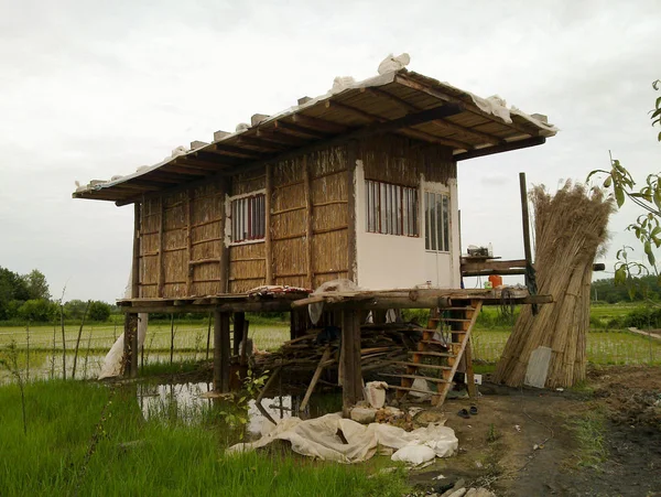 Cottage Rustico Legno Vicino Campo Una Capanna Paglia Con Lunghi — Foto Stock