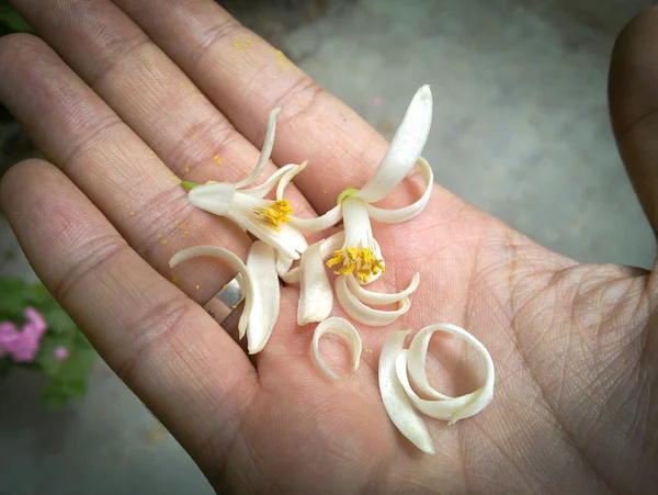 手にオレンジの花 男の手に白い花 — ストック写真