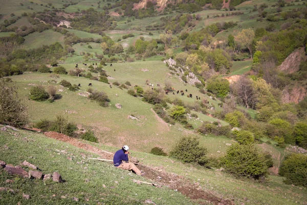 Çiftçi Adam Güneşli Bir Günde Çimlerin Üzerinde Dinleniyor Şten Izin — Stok fotoğraf