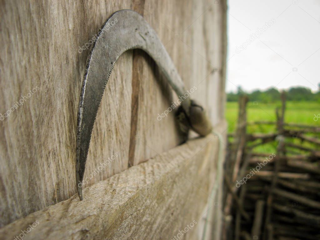  A sickle on wooden background after using for harvesting cereals. Close-up. Horizontal view. local tool of Iran. Traditional hand-held agricultural tool.