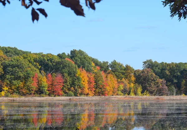 Waterloo Park, Ann Arbor, Michigan, Usa 'daki göl kenarındaki sonbahar ağaçlarının güzel manzarası. Mavi gökyüzünün altındaki göldeki renkli yaprakların yansıması.. 