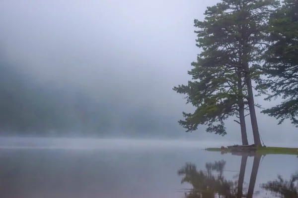 Morning Lake Landscape Fog Nature Lake Landscape Reflection Fog — ストック写真