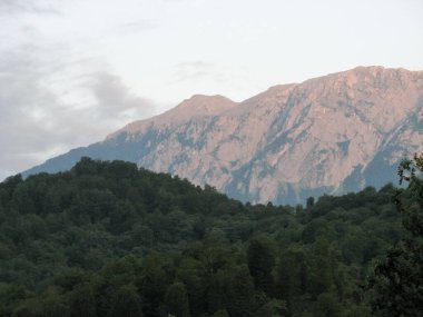 Dağlar ve orman. Yaz mevsiminde güzel doğal manzara.