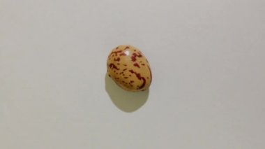pinto fasulyesi makro çekim Dönüşümlü