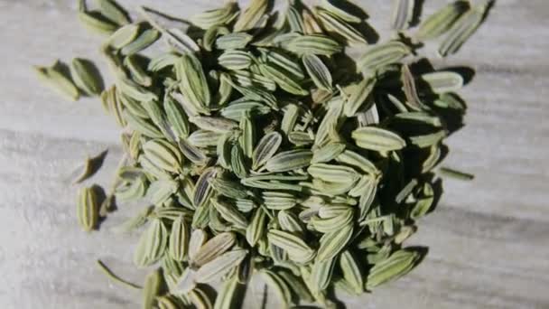 Raw Dry Organic Fennel Seeds Macro Shot Giro Giratorio — Vídeos de Stock